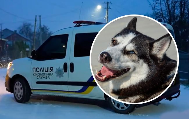 Едва не умерла на морозе. Полиция спасла потерявшуюся собаку: трогательное видео