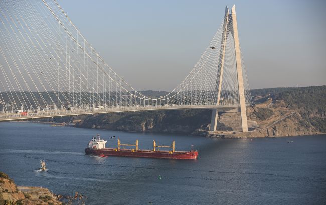 Туреччині відомо про зупинку Росією судна в Чорному морі: ведеться розслідування