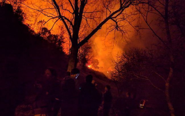 В Ізраїлі через спеку спалахнули лісові пожежі