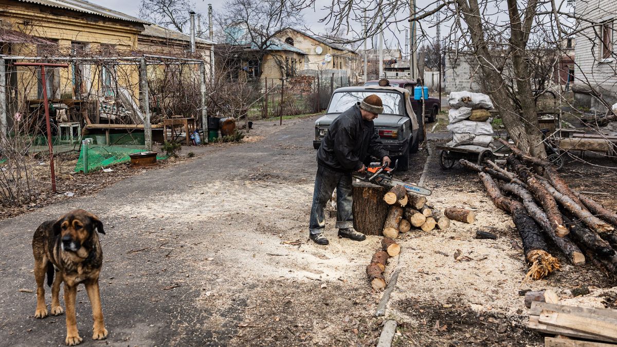 Субсидия на дрова - нужно обращаться в ПФУ для пересчета размера льгот |  РБК Украина