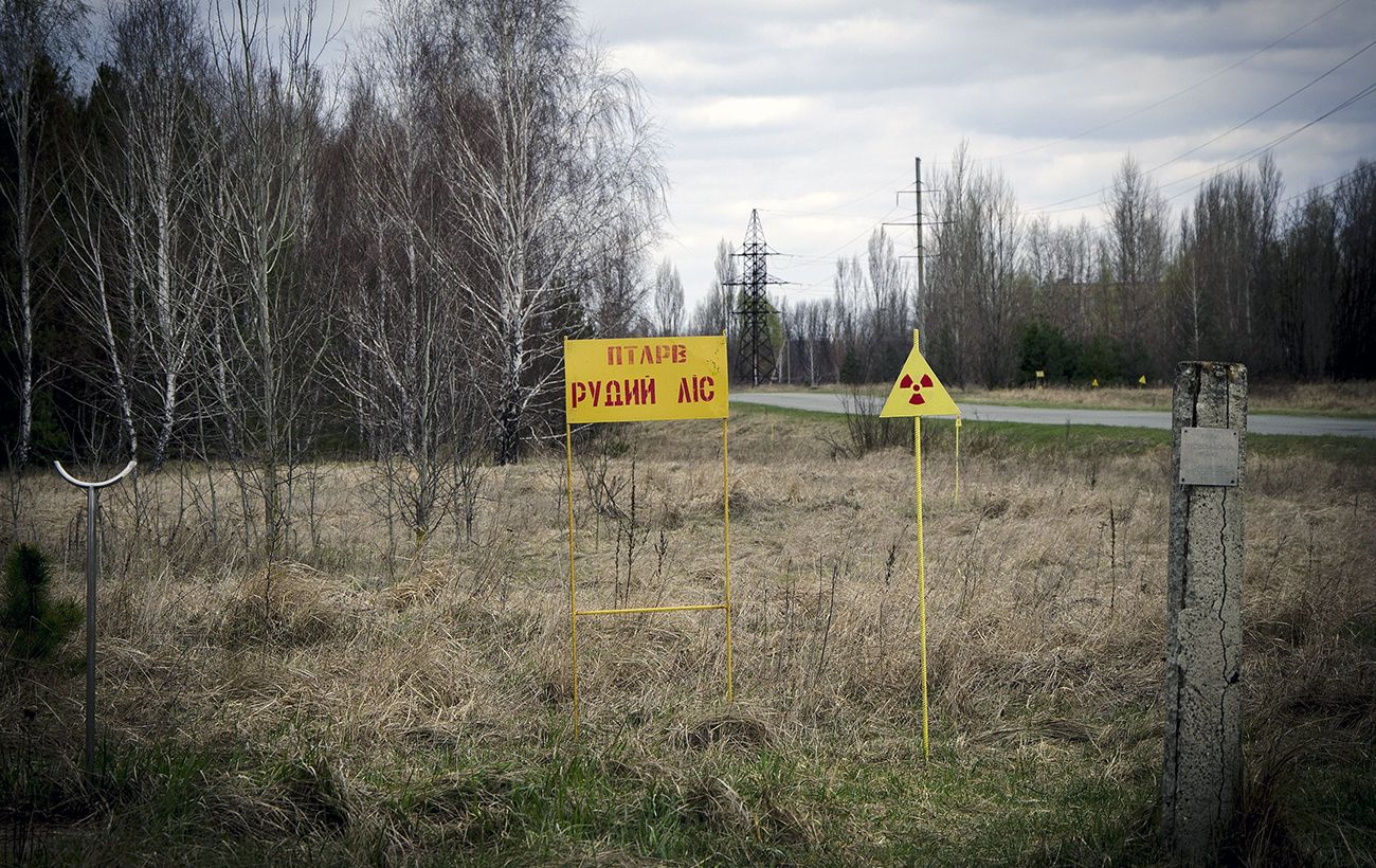 Чернобыль Припять рыжий лес