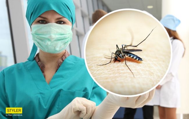 Заражение через укус насекомых: Украине грозит страшная эпидемия