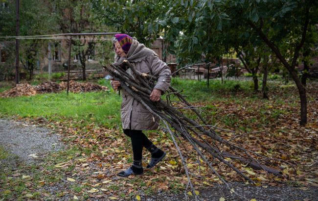 Сколько можно хранить дров, чтобы не попасть в тюрьму: пояснение авторов законопроекта