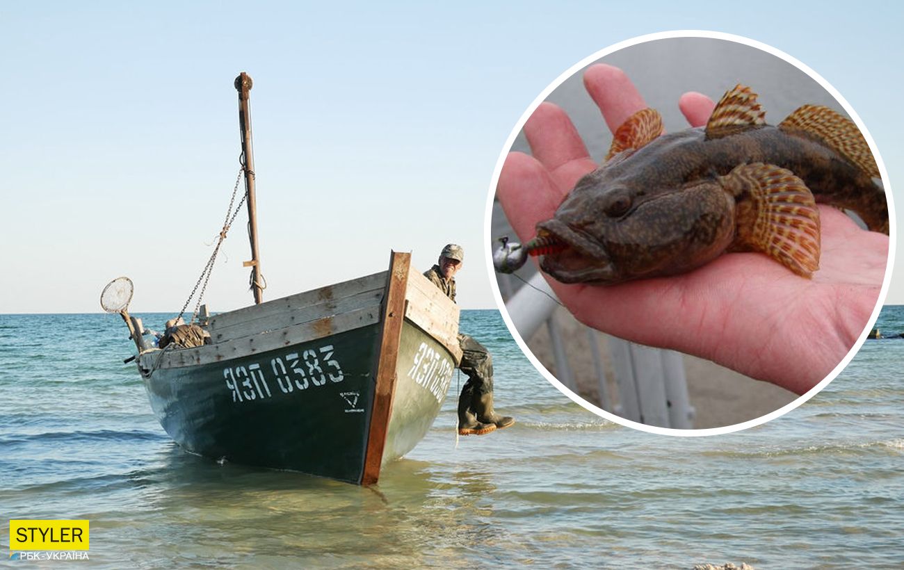 какая рыба в азовском море