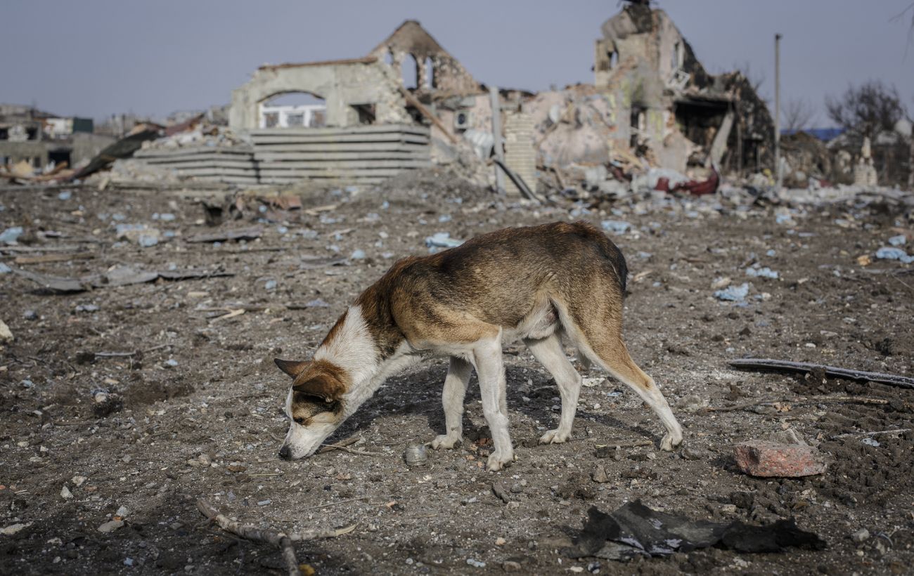 “Updates on Bakhmut: Residents Remaining, Casualties, and Current Situation”