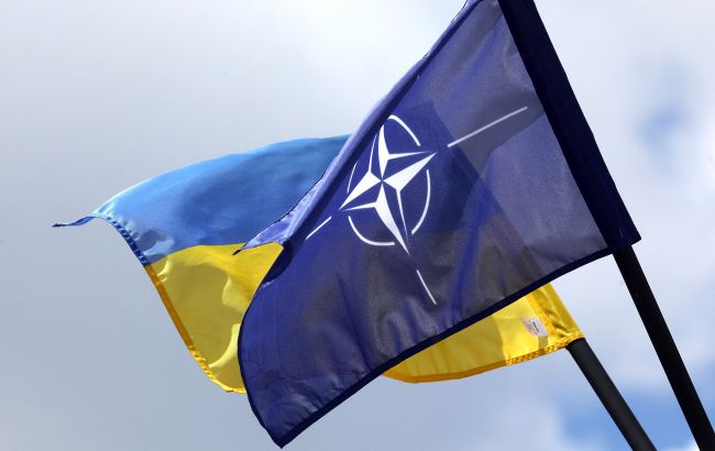 Литва поднимет вопрос членства Украины в НАТО на саммите в Вашингтоне
