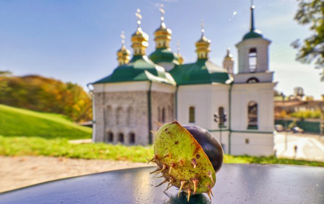 Вербна неділя: найкрасивіші привітання в картинках і листівках