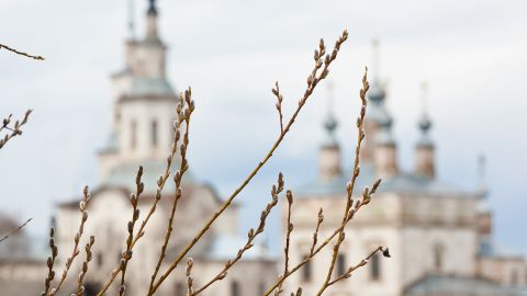 Можно ли печь в вербное воскресенье