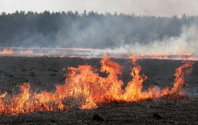 Синоптики попереджають про високий рівень пожежної небезпеки в Україні