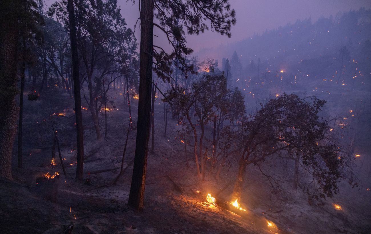 Italy introduced emergency mode due to forest fires