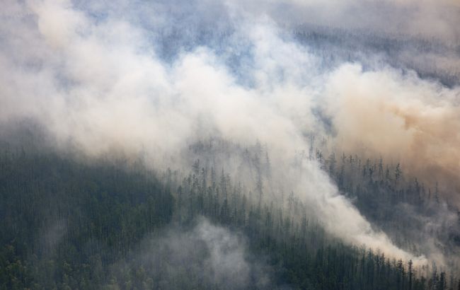 В Канаді масштабні лісові пожежі: евакуюють понад 24 тисячі людей