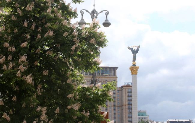 "Історично Київ був геть не зеленим". Коли і як каштан став символом столиці