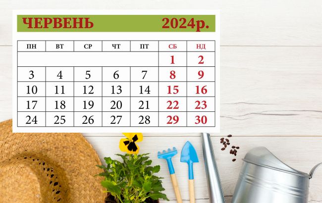 Лунный посевной календарь на июнь 2024: что и когда сажать для хорошего урожая