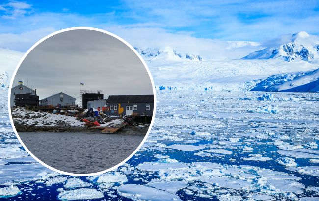 5 найдивніших знахідок в Антарктиді: вчені назвали, що їх найбільше вразило