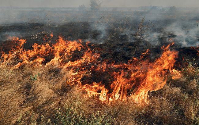 В одному з обласних центрів у повітрі відчувається запах диму: причина