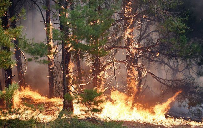 В Україні попередили про надзвичайний рівень пожежної небезпеки