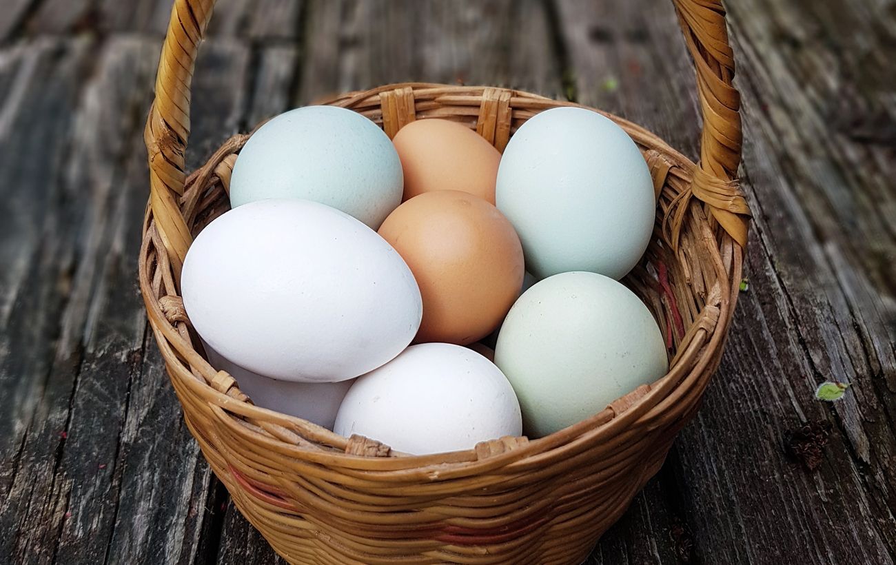 какие яйца лучше, белые или коричневые?