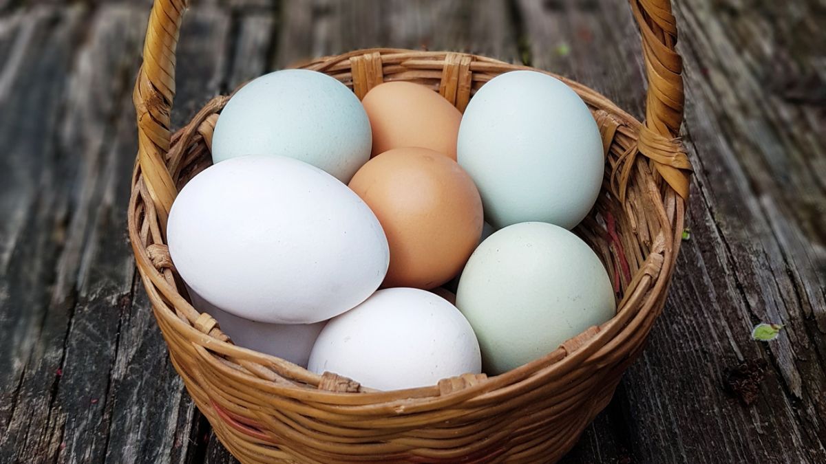 Самые полезные яйца: всмятку, вкрутую или жареные, мнение врача. Спорт-Экспресс
