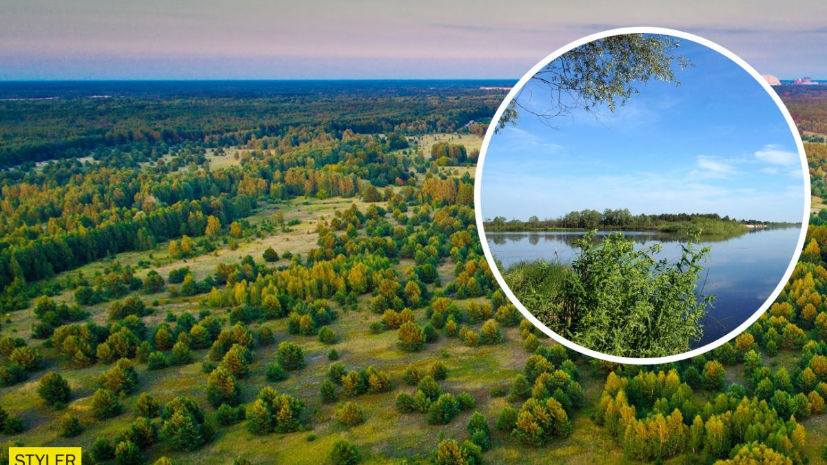 В Чернобыле на фото показали самое красивое животное | Стайлер