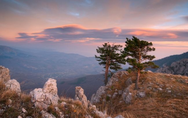 В Крыму земли заповедника передали в собственность России