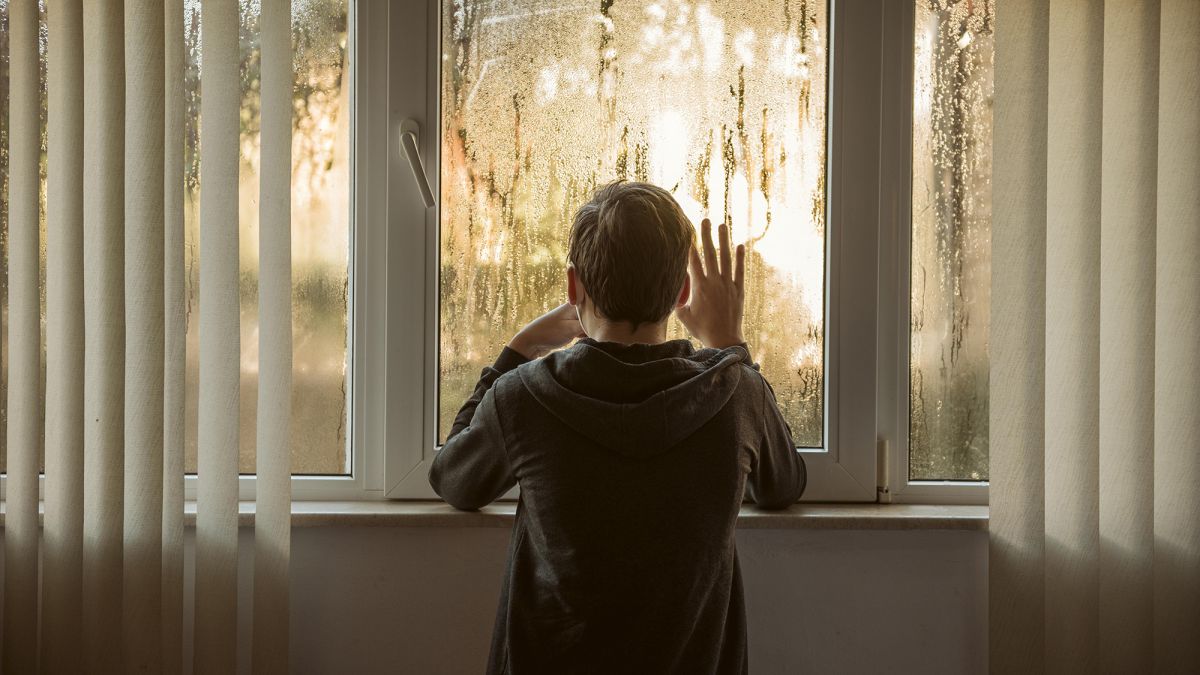 Конденсат на окнах: причины появления и способы борьбы с запотеванием окон