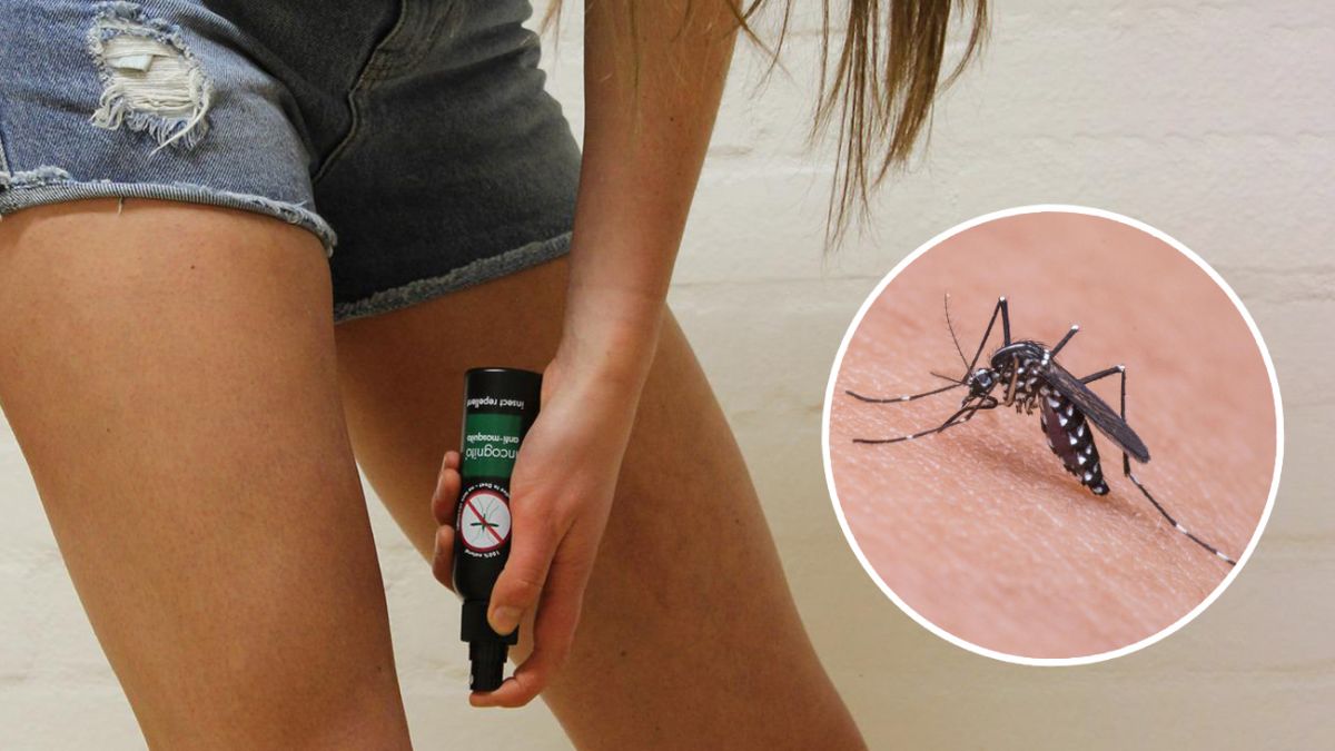 Эфирные масла против комаров, клещей и других насекомых