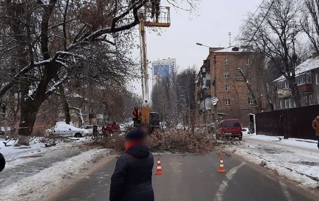 У Києві перекрили рух на одній з вулиць через падіння дерева: як об'їхати