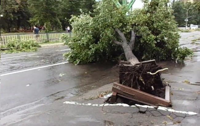 У центрі Луганська ураган повалив дерева