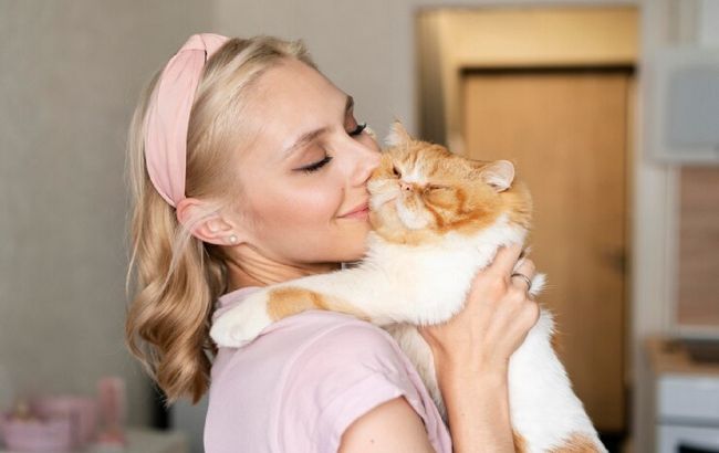 Вибір для тих, хто любить обійми: топ-7 найласкавіших кішок