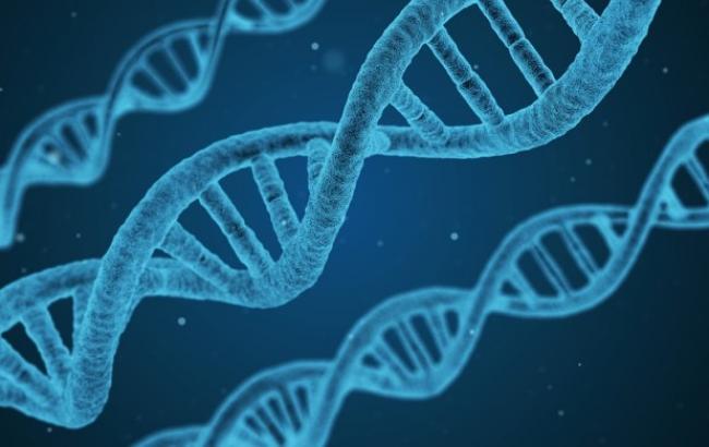 Вчені створили з ДНК сонцезахисний крем