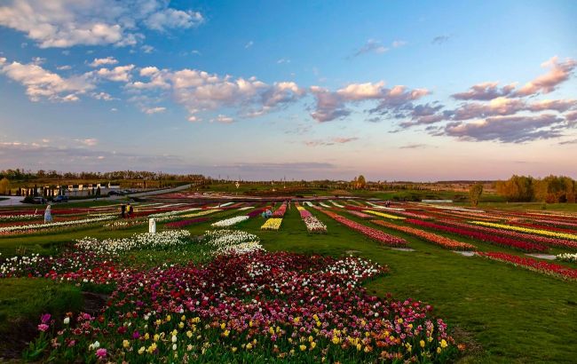 Тюльпани, сакури і море: кращі парки біля Києва для прогулянок на вихідних