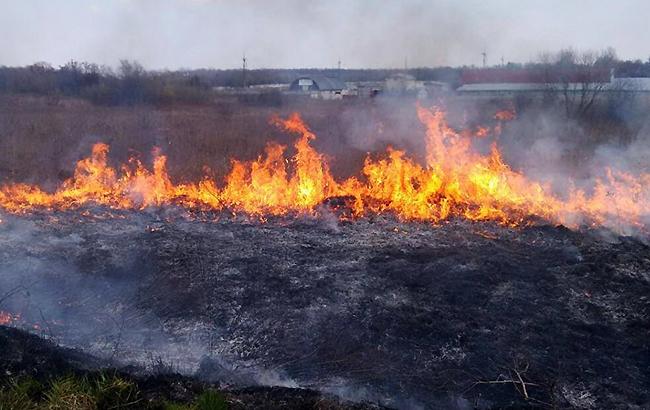 У Києві очікується надзвичайний рівень пожежної небезпеки