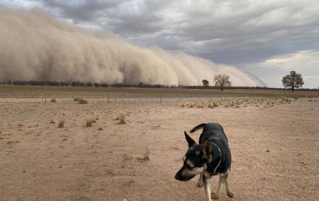 Австралию накрыли мощные пылевые бури