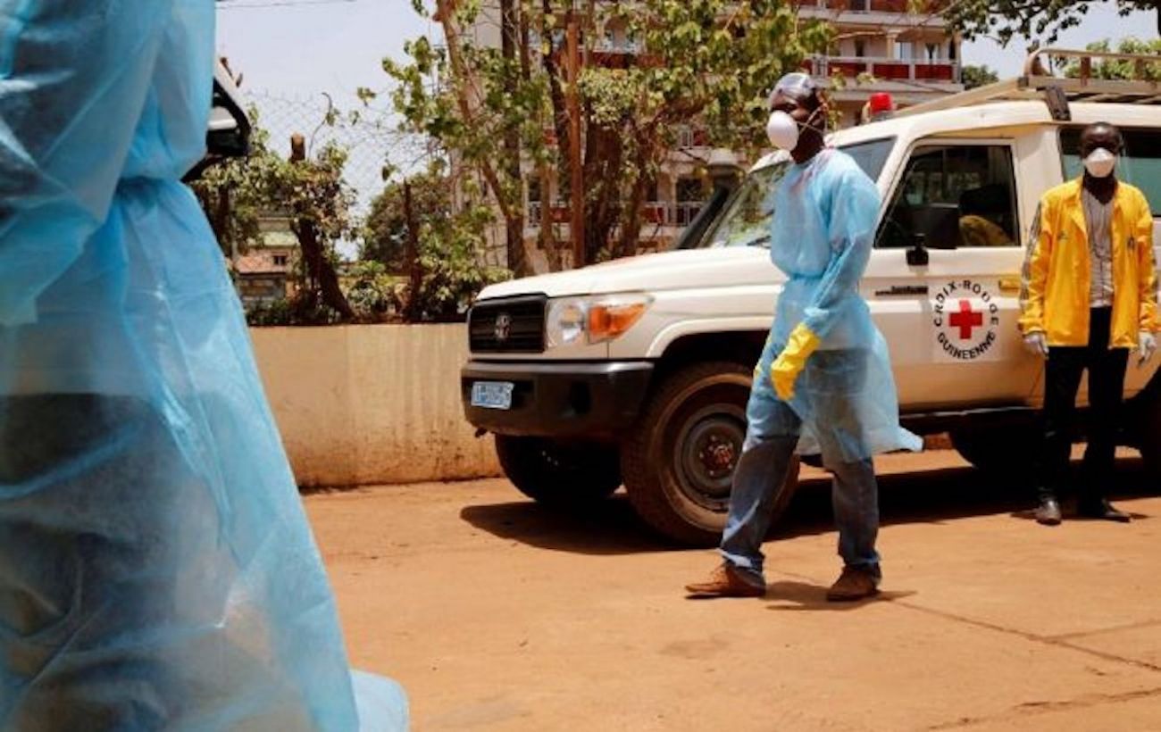 Marburg fever brings first death in Guinea