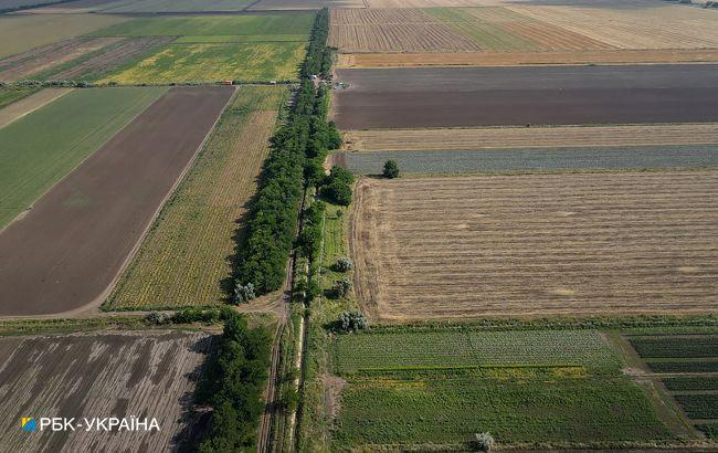 НБУ оцінив ефект від рекордного урожаю на економіку України