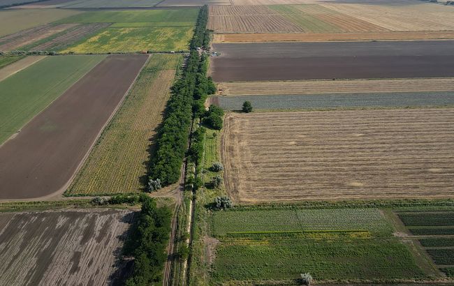 Ринок землі: скільки українців планують продати свої паї