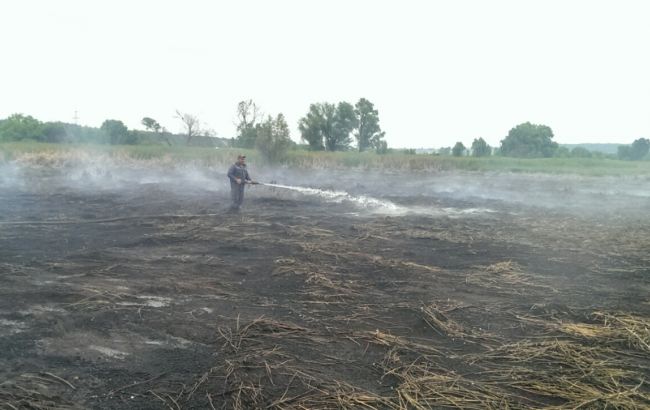 Під Києвом продовжують горіти 102 га торфовищ