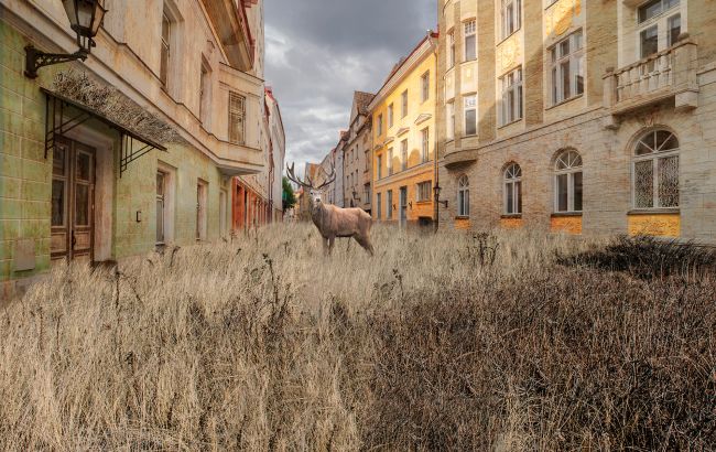 Не обезьяны, не крысы. Какой вид будет доминировать на планете, если человечество исчезнет