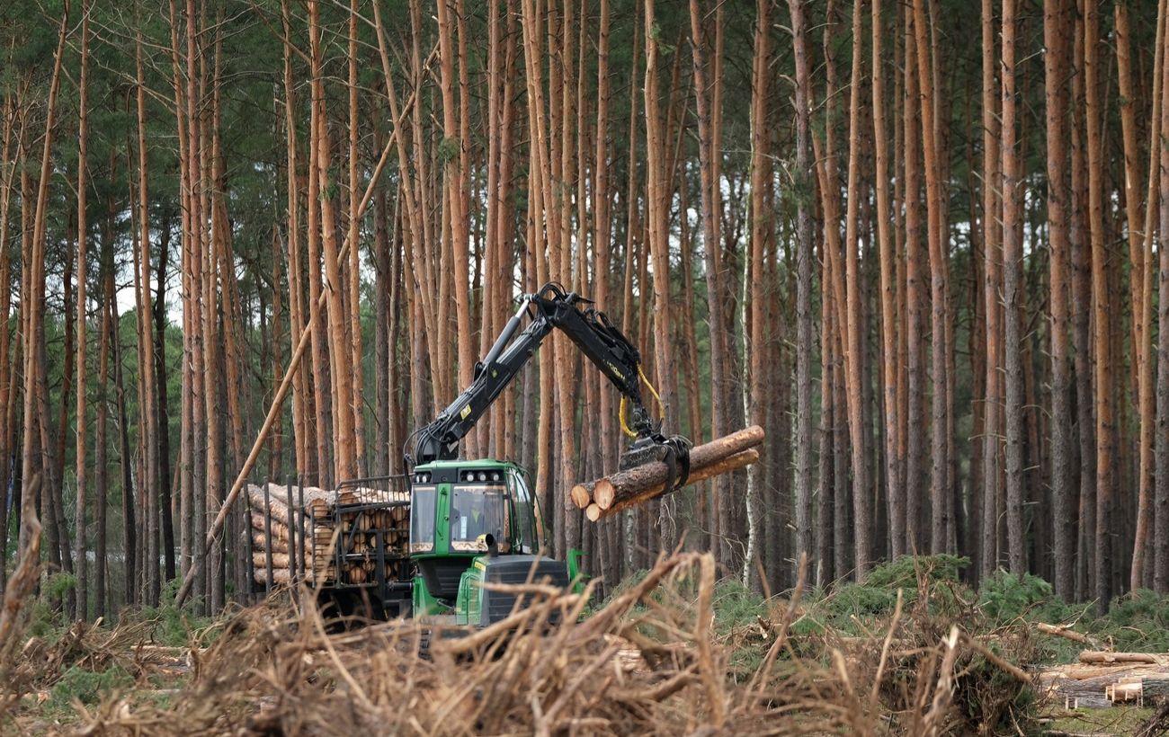 COP26 Climate Summit – Over 100 Countries Pledge to End Deforestation by 2030