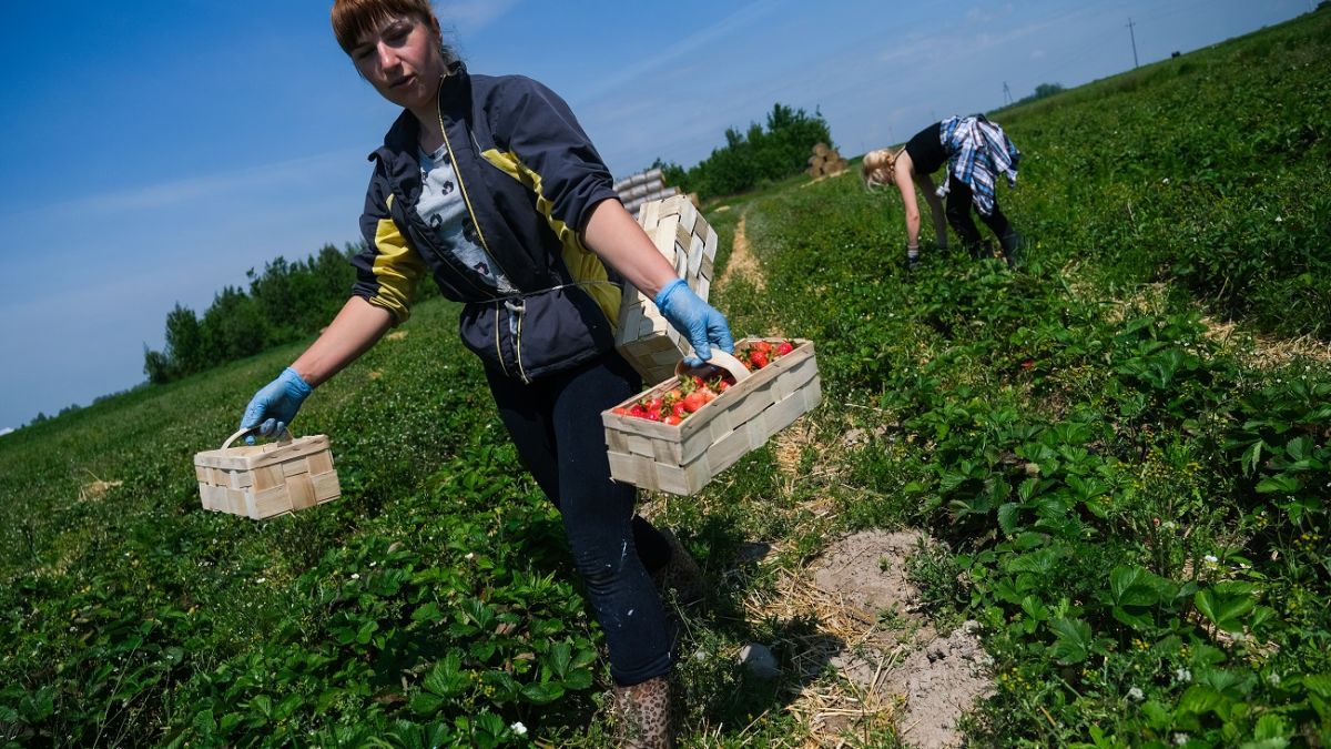 Работа в Польше для украинцев – вакансии без польского языка | РБК-Україна