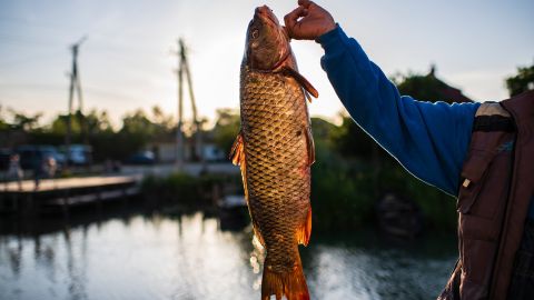 Первый раз на рыбалке: советы и рекомендации