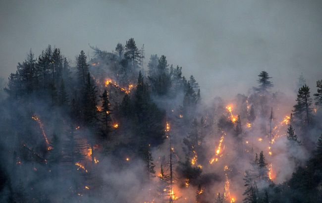 Лісові пожежі в Греції: задіяно 18 літаків, тисячі туристів евакуйовано