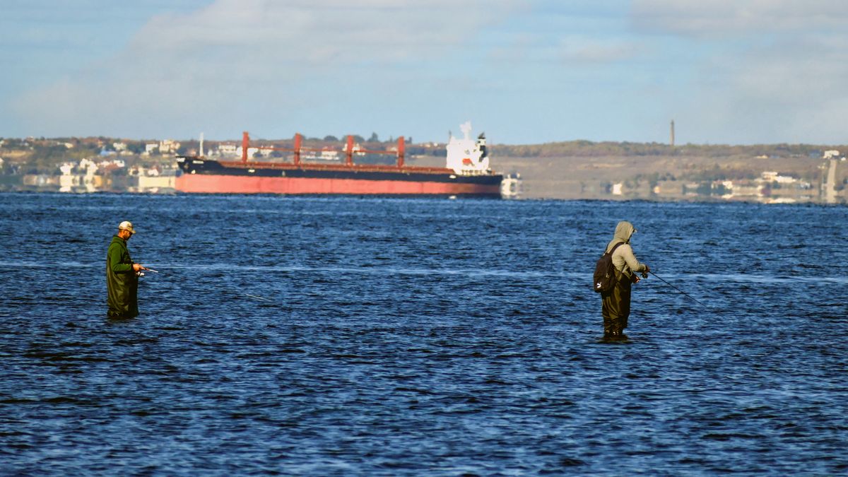 Россия уничтожает экологию Черного моря | РБК Украина