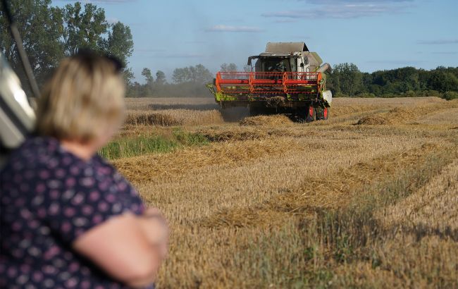 Що буде з цінами на землю в Україні: прогнози експертів