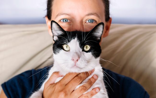 Які кішки носять смокінг? Топ-5 чорно-білих порід