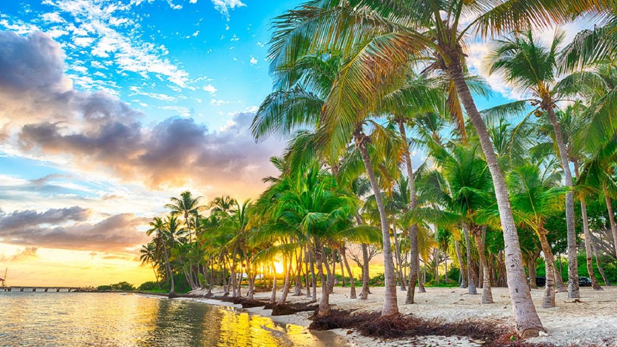 Климат и туристический сезон. Острова Карибского моря, Мексика, Коста-Рика.