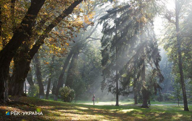 Скільки в Україні триватимуть заморозки: відповідь синоптика