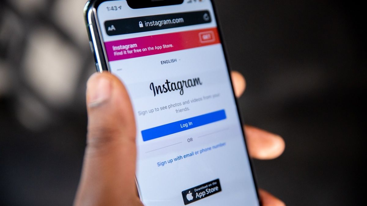 Instagram добавит ленту, где будут посты верифицированных пользователей |  РБК Украина