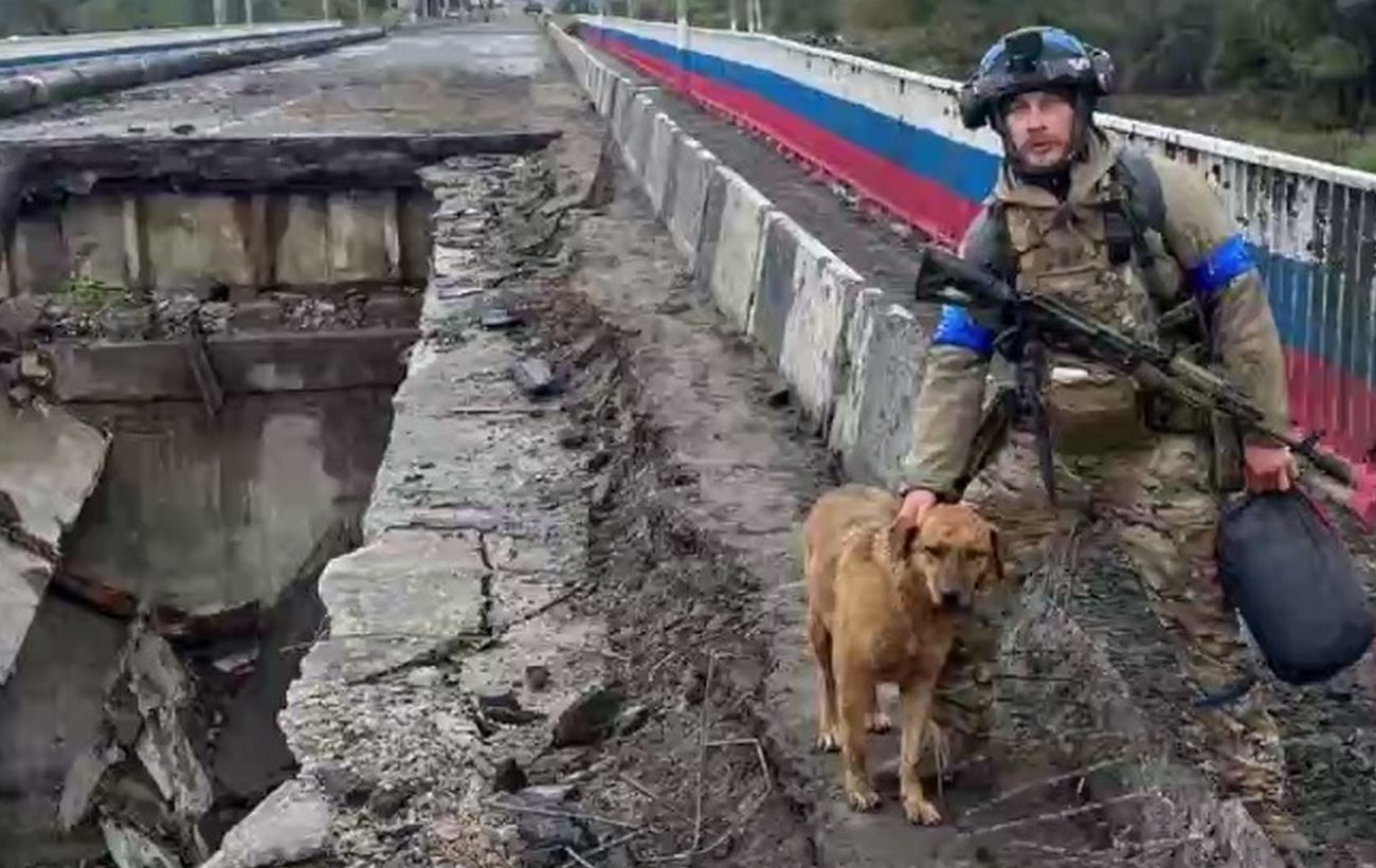 Собака выжила во время оккупации Купянска - история животного, видео |  Новости РБК Украина