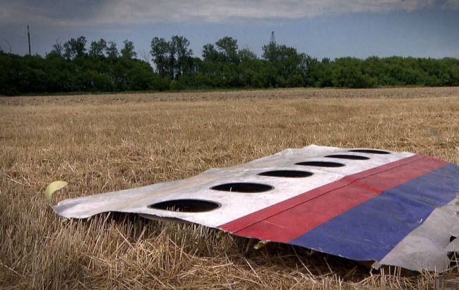 Слухання у справі про MH17 в Нідерландах припинені до 6 вересня